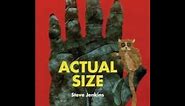 Actual Size by Steve Jenkins Read Aloud