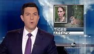 Palm Beach Zoo Closed After Deadly Tiger Attack