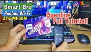How to Openline Smart Bro Pocket Wi-Fi ZTE MF65M Full Tutorial | INKfinite