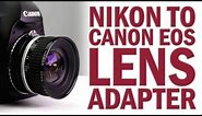Nikon F Lens to Canon EOS Camera Lens Mount Adapter from Fotodiox Pro