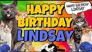 Happy Birthday Lindsay! Crazy Cats Say Happy Birthday Lindsay (Very Funny)