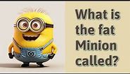 What is the fat Minion called?