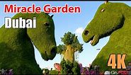 Dubai Miracle Garden, 150 Million Flowers, - The world’s largest natural flower garden