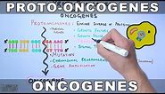 Proto-Oncogenes and Oncogenes