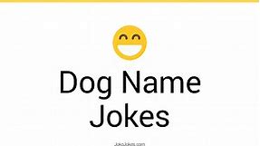118  Dog Name Jokes And Funny Puns - JokoJokes