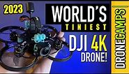 World's Tiniest 4K DJI Drone! ... AxisFlying Z20 Dji 03 4K Cinewhoop - FULL REVIEW