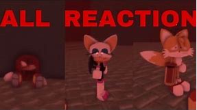 All Reactions To Knuckles Dead Body in You Can’t Run Sonic The disaster Roblox