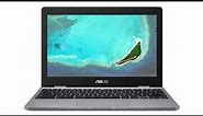 ASUS Chromebook C223NA - C223NA-DH02 Quick Facts