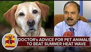 Veterinary Doctor's Advice for Pet Animals To Beat Summer Heat Wave - Thanthi TV