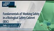 Fundamentals of Working Safely in a Biological Safety Cabinet (BSC): Safe Use of a BSC
