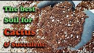 Cactus & Succulent soil mix | How to make the best Cactus & Succulent soil mix?