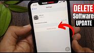 How to Delete Downloaded iOS Update on iPhone/iPad (iOS 14 Included)