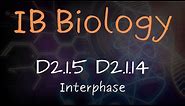 IB Biology New Exam 2025 - Interphase