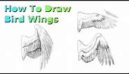 How To Draw Bird Wings