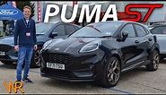 Ford Puma ST Gold Edition - This or a Fiesta ST? | WorthReviewing