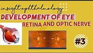 EMBRYOLOGY OF EYE || retina and optic nerve development