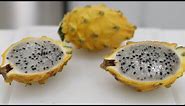 How to Eat Yellow Dragon Fruit (Pitahaya, Pitaya) | Taste Test