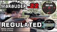 Benjamin Marauder .22 Air Rifle + 50 & 100 Yard Accuracy TEST + FULL REVIEW - Regulated PCP Airgun