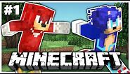 Movie Sonic and Movie Knuckles Play Minecraft Part 1 - NEW BEGINNING!!