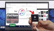 Fix- iTunes Doesn't Detect or Recognizing iPod Nano 6G [Windows 10\11]