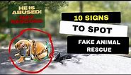 10 Signs to Spot Fake Animal Rescues: Don't Fall for This Scam
