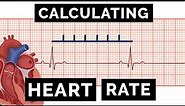 Calculating Heart Rate on an ECG | EKG | OSCE Guide | UKMLA | CPSA