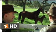 Seabiscuit (1/10) Movie CLIP - The History of Seabiscuit (2003) HD