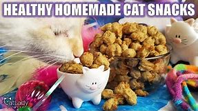 How to make THE BEST HOMEMADE KITTY TREATS (grain-free, high-protein cat recipe!)