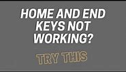 Home and End Keys Not Working Properly as They Should on Microsoft Windows PC Computer Laptop