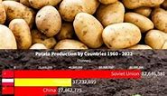 Potato production by country 1960-2022