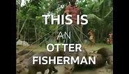 Otter fishing