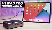 Does the M1 iPad Pro Work With A Thunderbolt Dock?