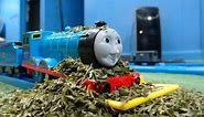 Tomy Edward and The Mail