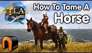 ATLAS HOW TO TAME A HORSE & HOW TO TRAP IT!