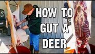 How to Gut a Deer - Field to Fork Part 1