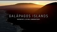 Explore the Galapagos Islands with Google Maps