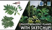 Create Photorealistic Plant Models in SketchUp