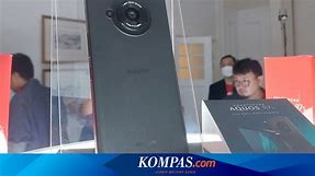 Sharp Fokus Jual Smartphone Flagship di Indonesia