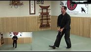 Ninjutsu - Throwing Knives - Ninja Training Free Videos - Ninjutsu weapons