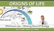 Origins of Life - LUCA, endosymbiosis and multicellularity - Post 16 Biology (A Level, Pre-U, IB)
