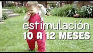 Actividades Bebé 10 a 12 meses - Estimulación Temprana