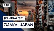 Terminal Tips: A Quick Introduction to the Osaka Cruise Port