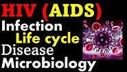 HIV virus infection and life cycle