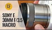 Sony E 30mm f/3.5 Macro lens review with samples