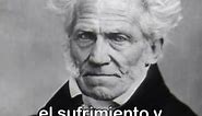 frases filosóficas meme - Arthur Schopenhauer #frases