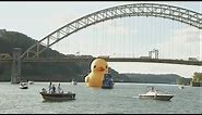 Giant rubber duck finally makes it to America