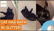 Cat Takes Glitter Bath and Spreads Glitter Across Home (Storyful, Animals)