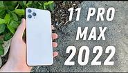 iPhone 11 Pro Max in 2022 Review - Peak Value!