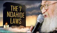 The Truth About the 7 Noahide Laws
