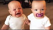 Twin Baby Girls Fight Over Pacifier | Cutest Babies | KYOOT